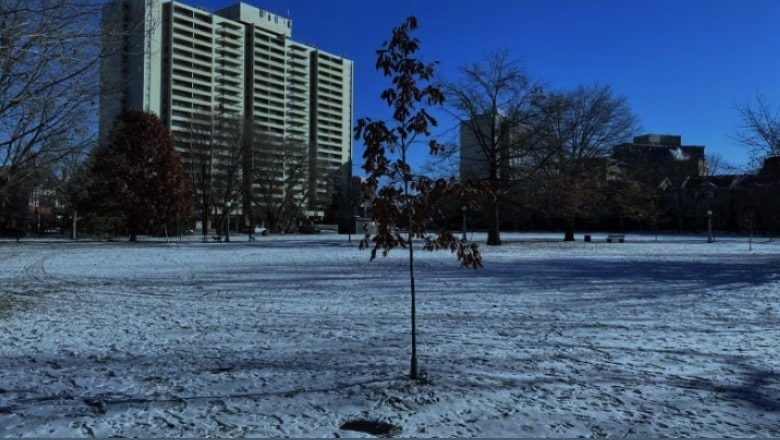 Commemorative tree program put on pause starting next month